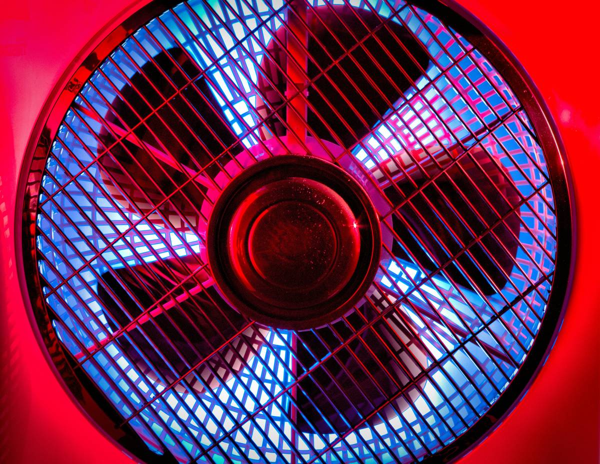 Fan in red and blue light